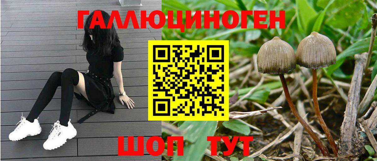 где можно купить наркотик  Вход с VPN  Лянтор  Псилоцибиновые грибы Magic Shrooms 